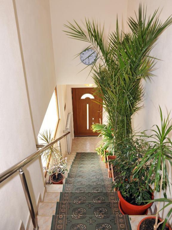 Guesthouse Elizabeth Samokov Chambre photo